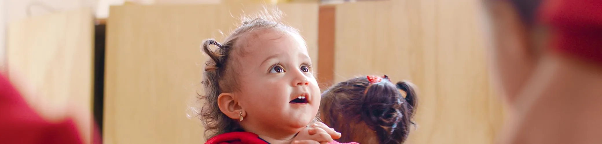 Seguridad Alimentaria