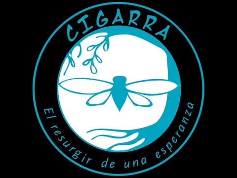 Himno Fundación Cigarra