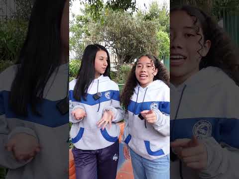Bingo Solidario 2026